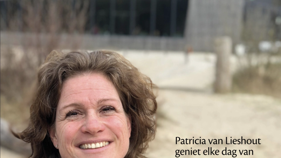 Schakels juni 2018Open