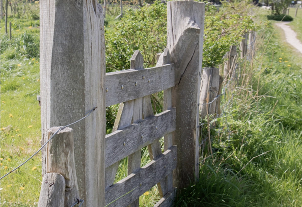 Schakels juni 2019Open