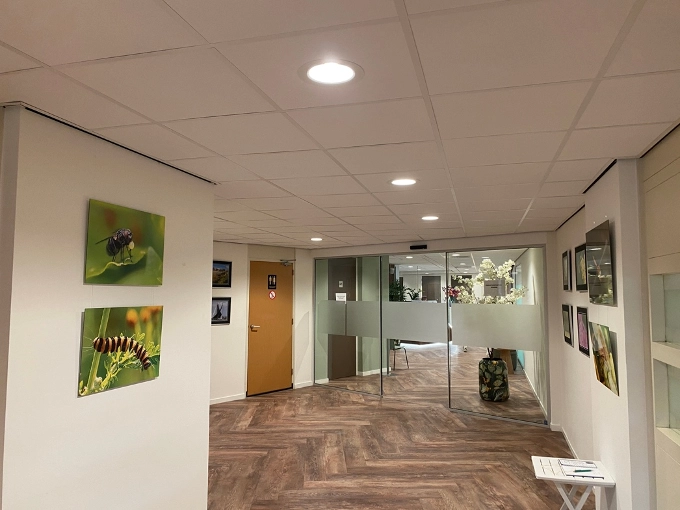 Nanne De Boer exposeert in de Sanderij