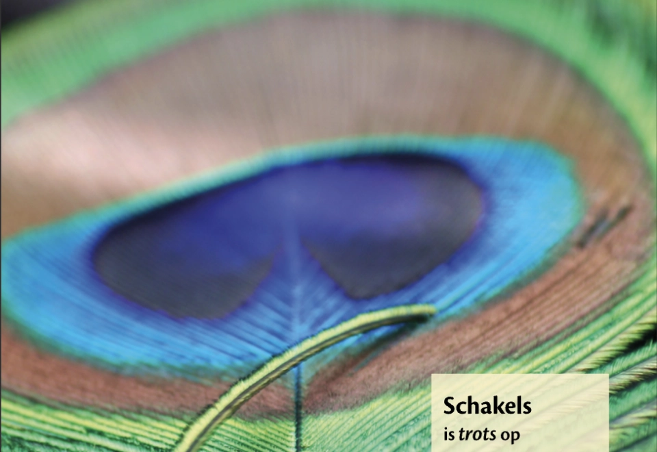 Schakels juni 2020Open