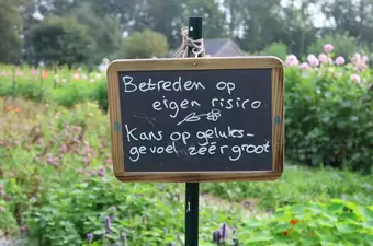 Kleine geluksmomenten, grote impact