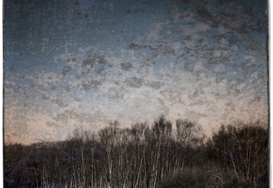 Schakels maart 2023 Open