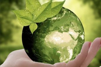 De Groene Cirkel zoekt vrijwilligers