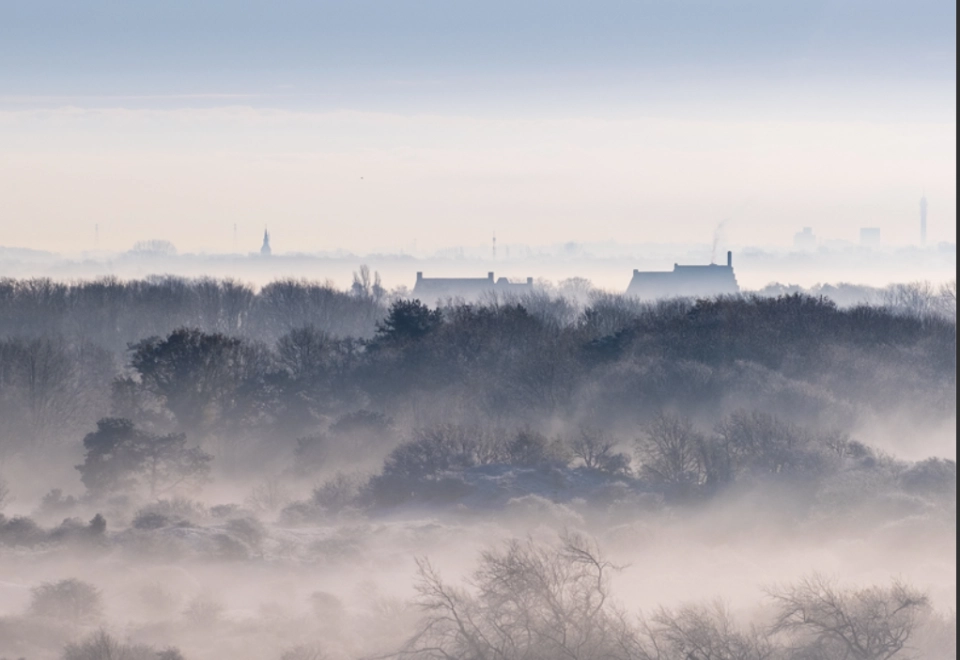 Schakels december 2025