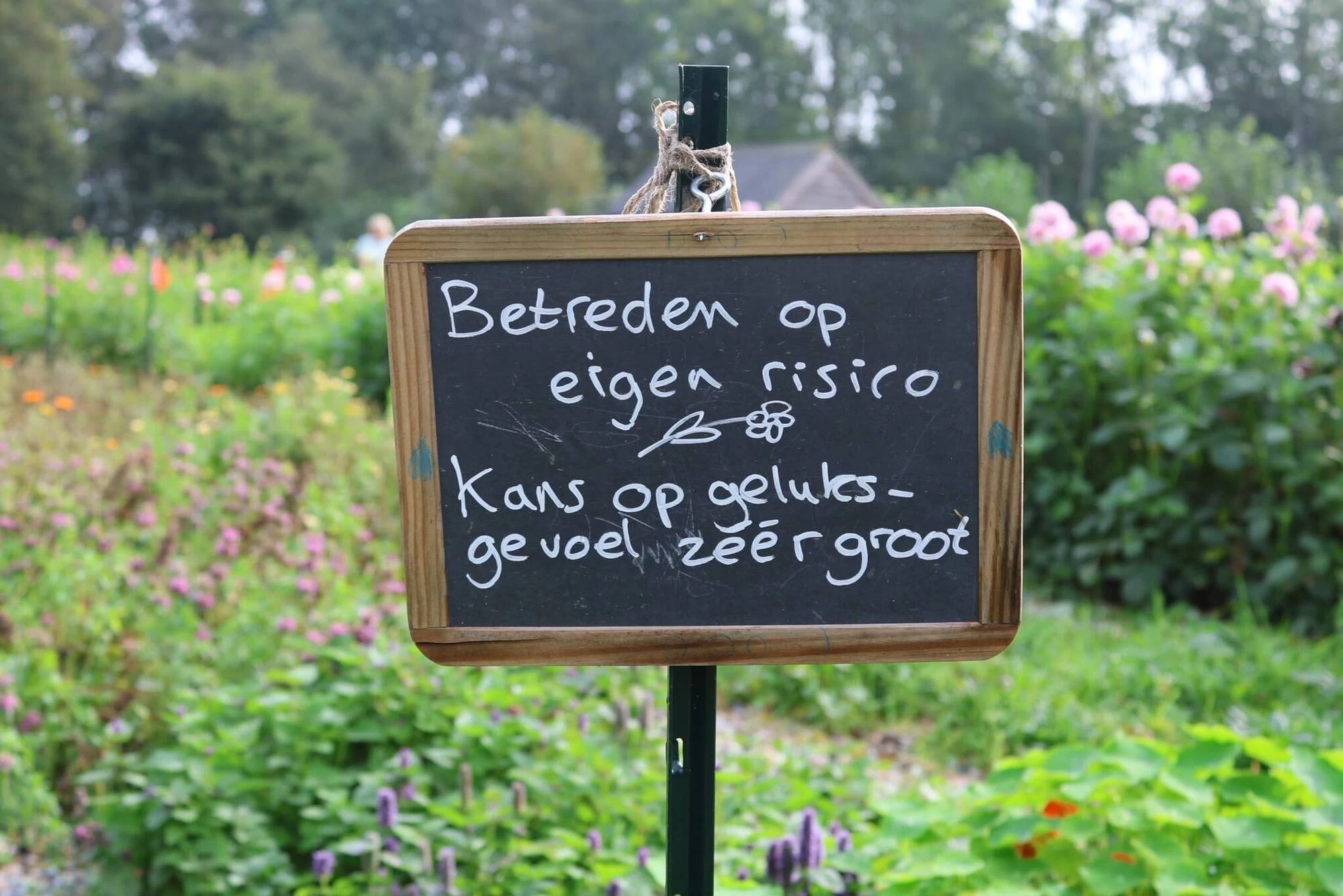Kleine geluksmomenten, grote impact