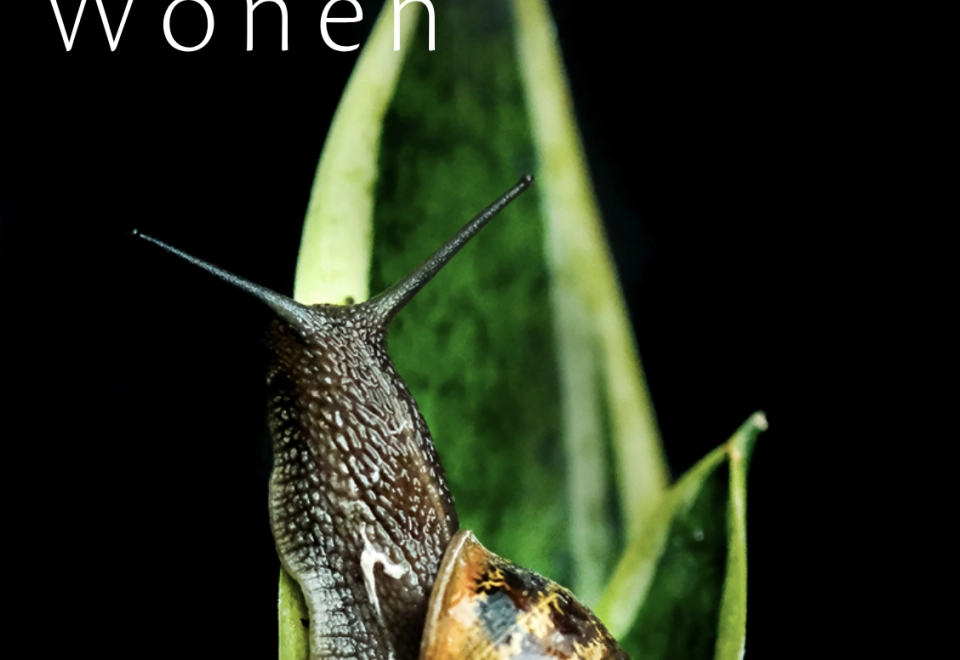 Schakels september 2021Open