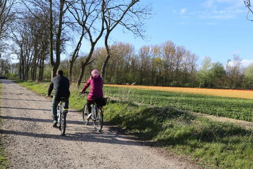 Maatschappelijk Fietsen